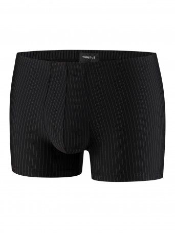 Boxer Kendo Boxer Kendo
