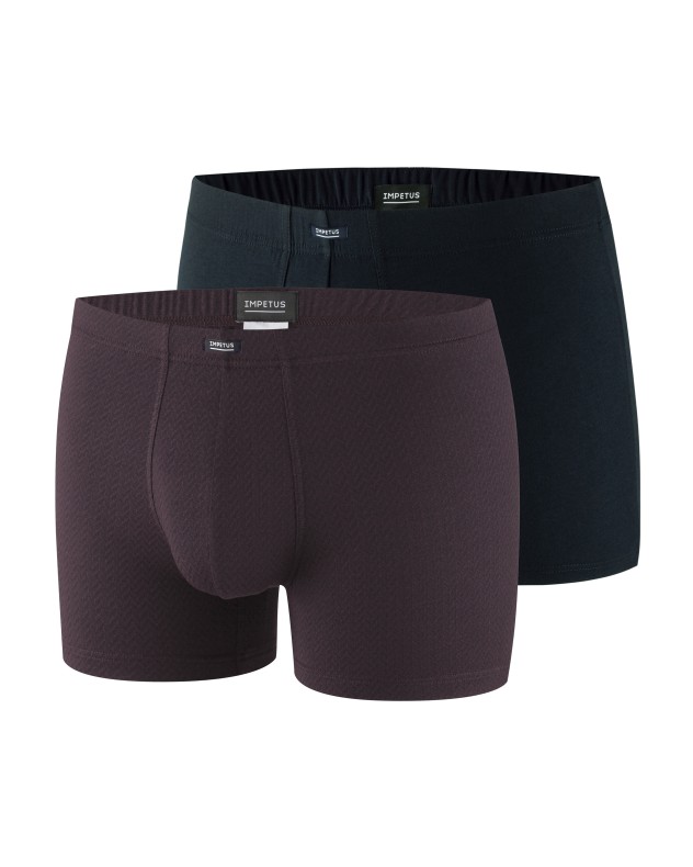 Lot de 2 boxers - Merlion - Image product