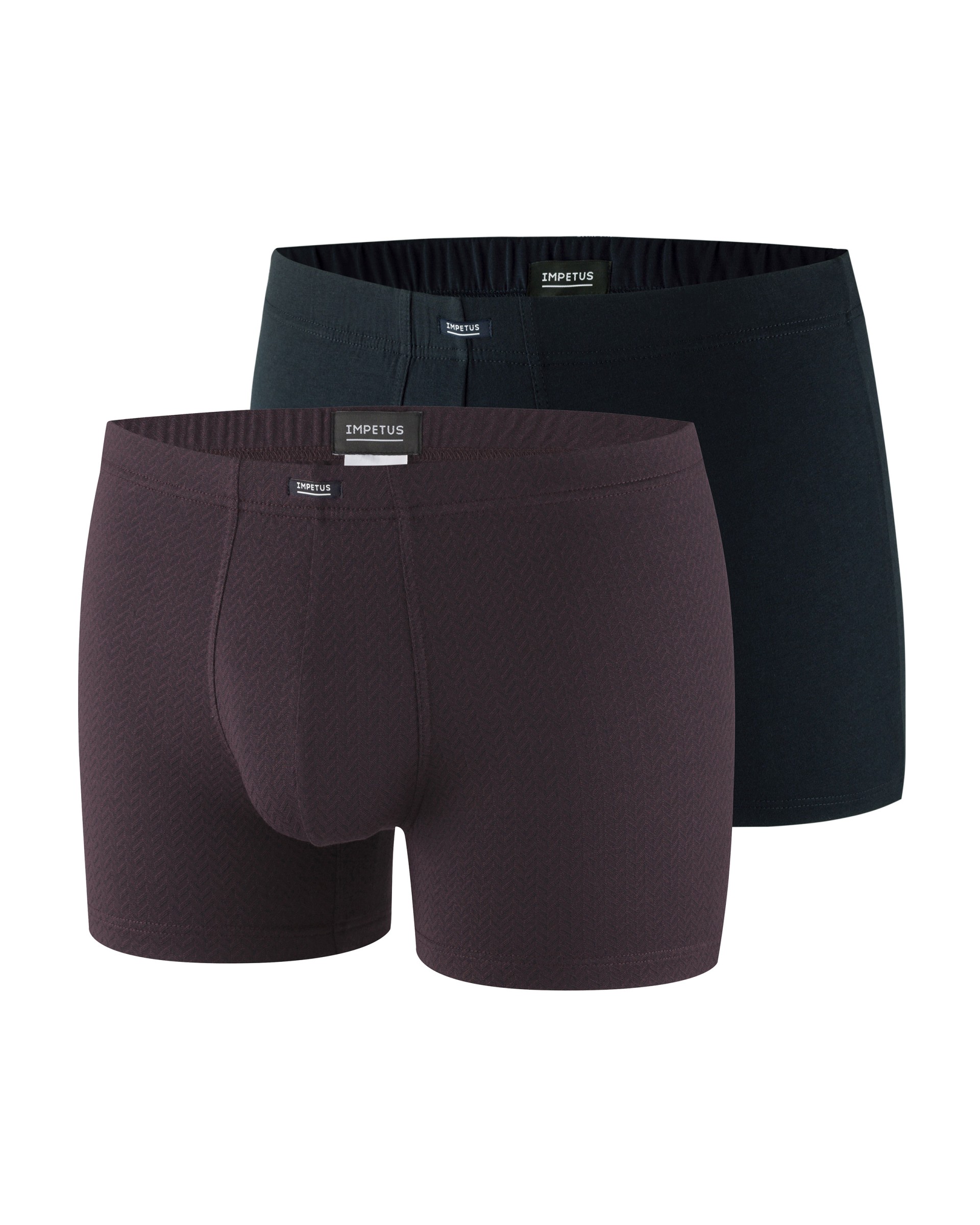 Pack de 2 Boxers - Merlion