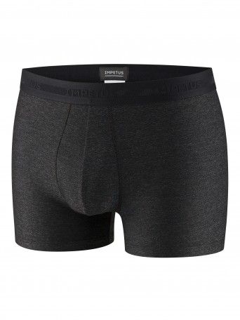 Boxer Pangaea Boxer Pangaea