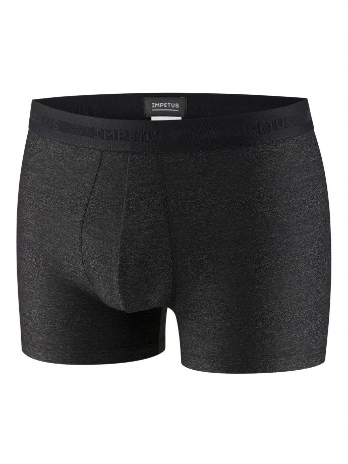 Boxer Pangaea Boxer Pangaea