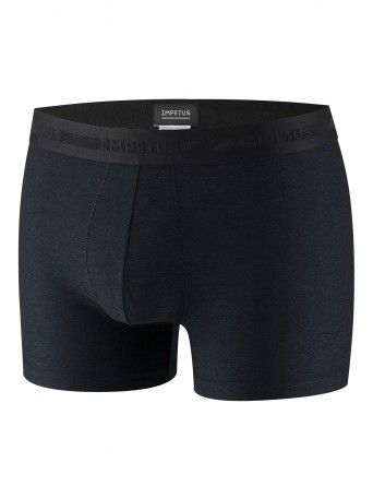 Boxer Pangaea Boxer Pangaea