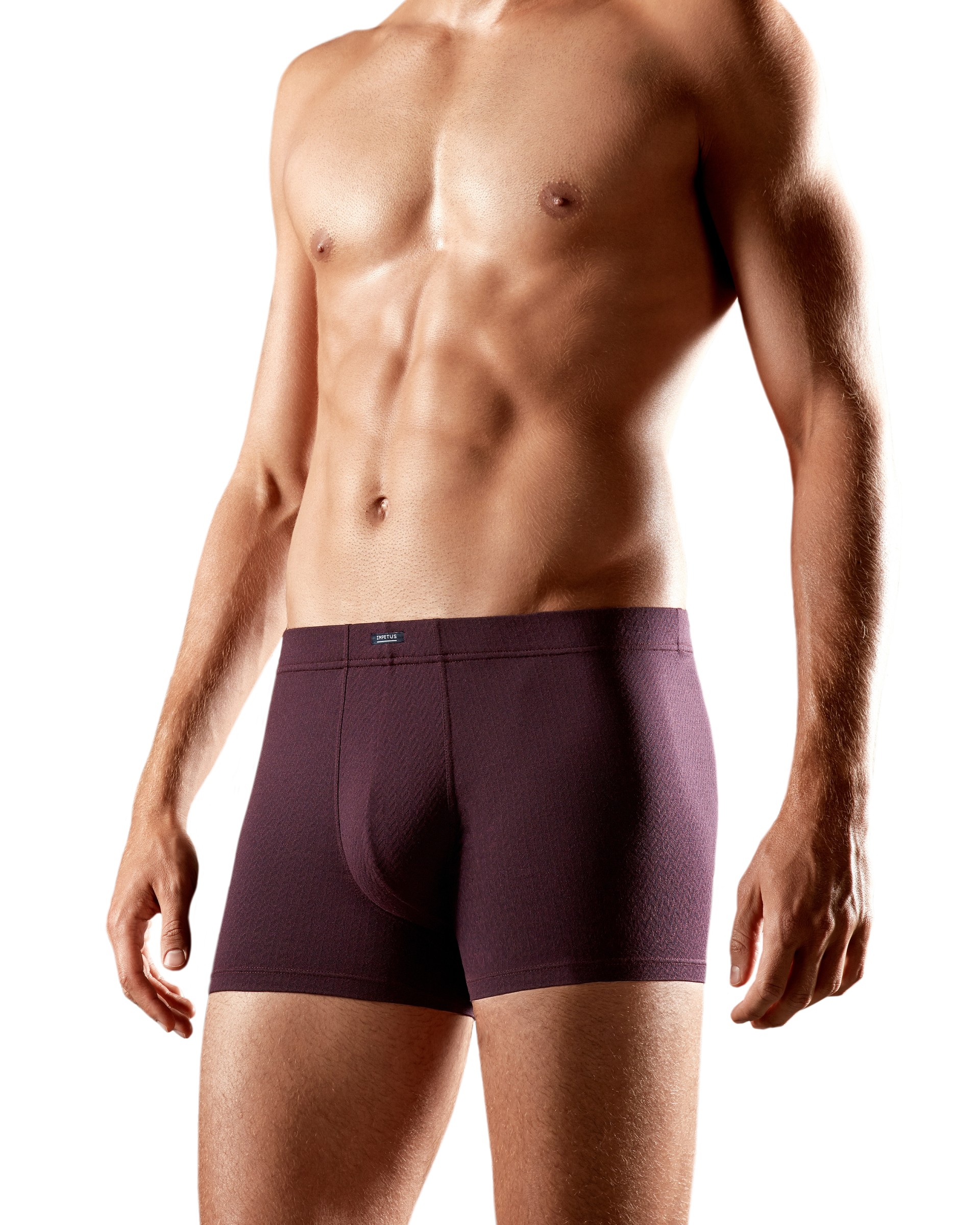 Pack de 2 Boxers - Merlion