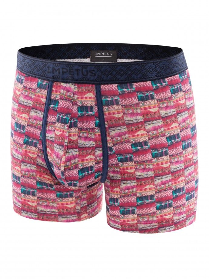 Boxer - Yunnan Boxer - Yunnan