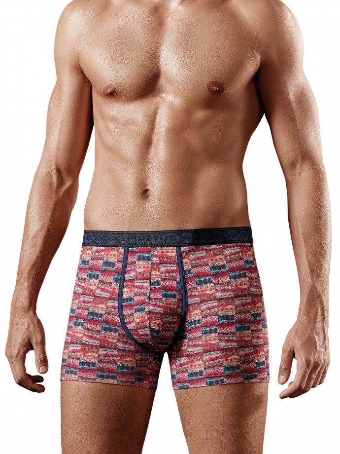 Boxer - Yunnan Boxer - Yunnan
