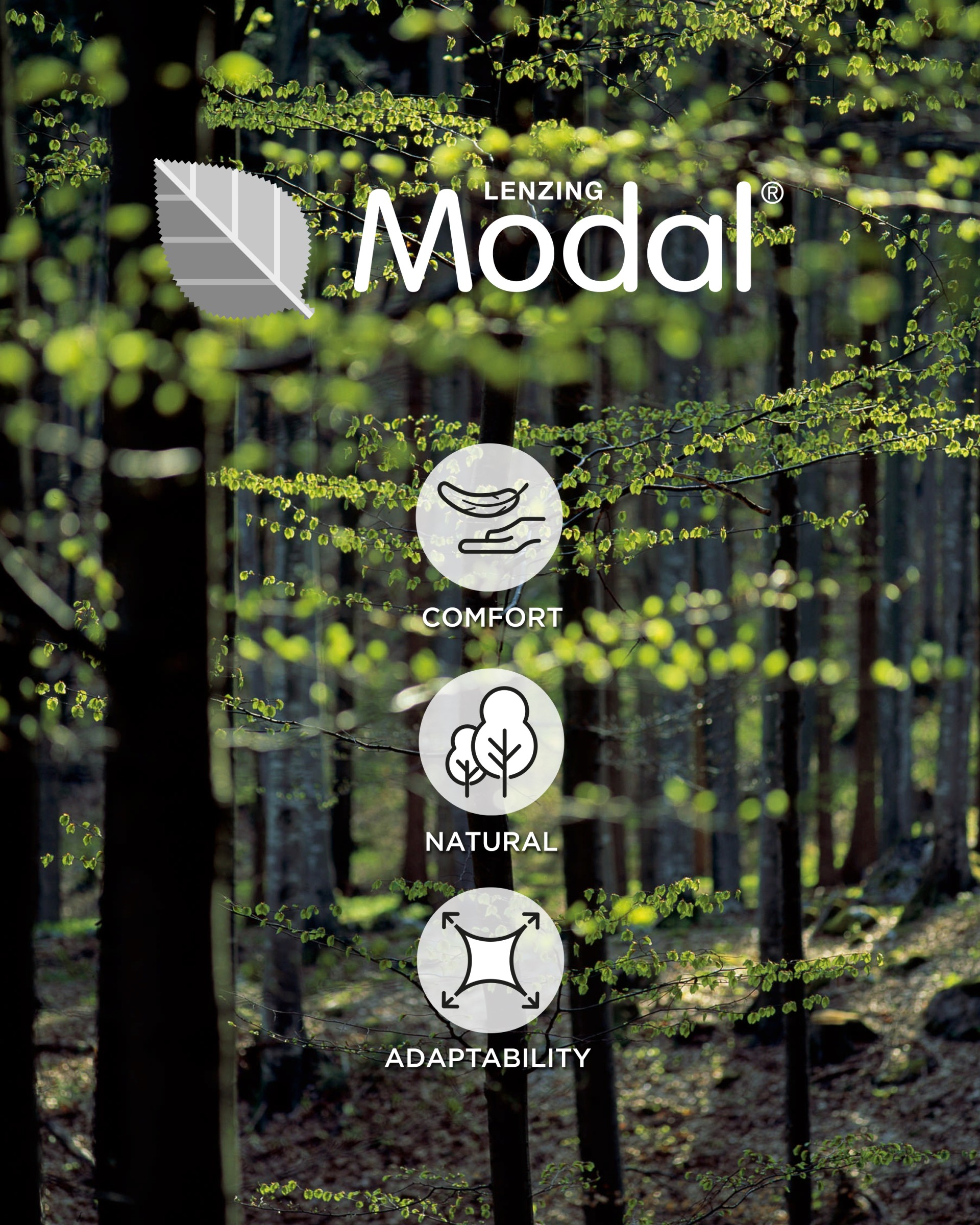 T-shirt Cotton Modal