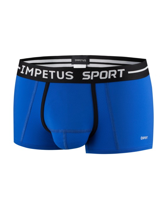 Boxer court Sport
