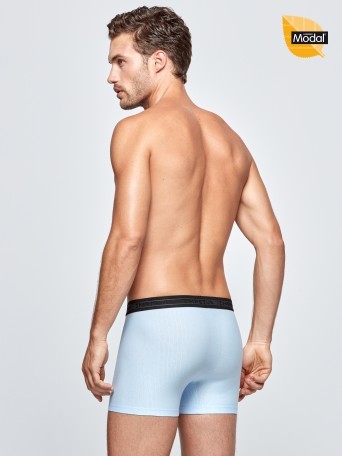 Boxer - Roriz Boxer - Roriz