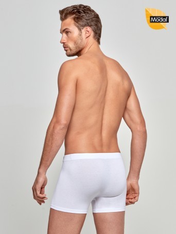 Boxer Cotton Modal Boxer Cotton Modal