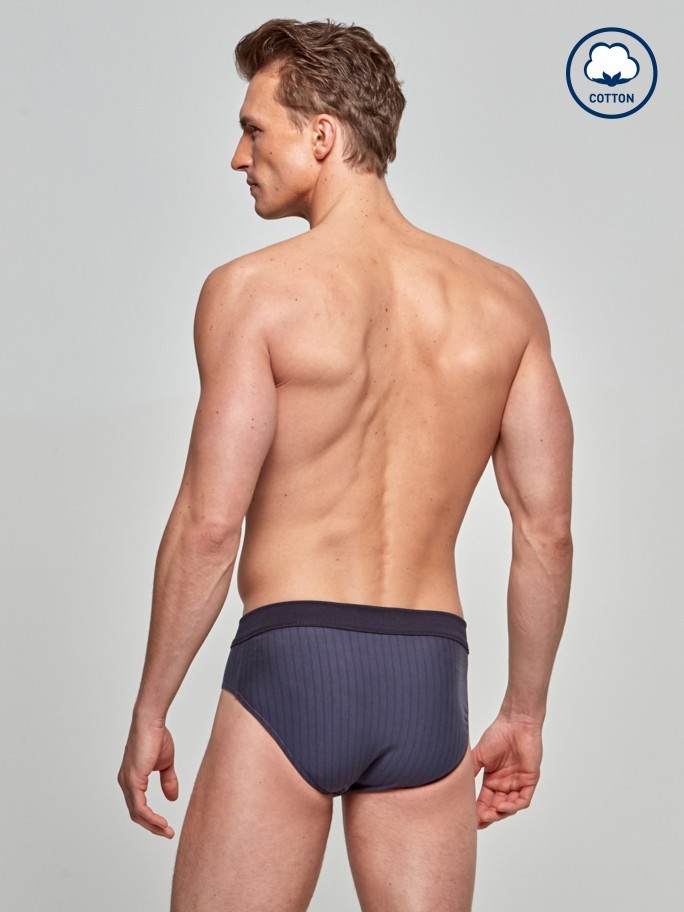 Brief Stripes - Cotton Stretch