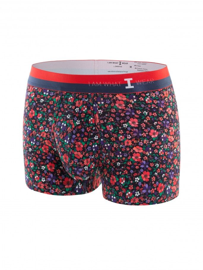 Boxer I AM Expressive