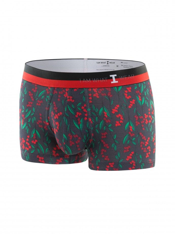 Boxer I AM Passionate Boxer I AM Passionate