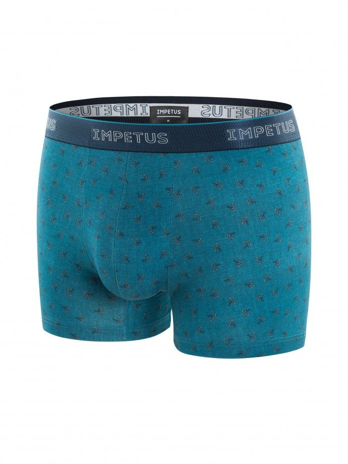 Boxer -Lucignano Boxer -Lucignano
