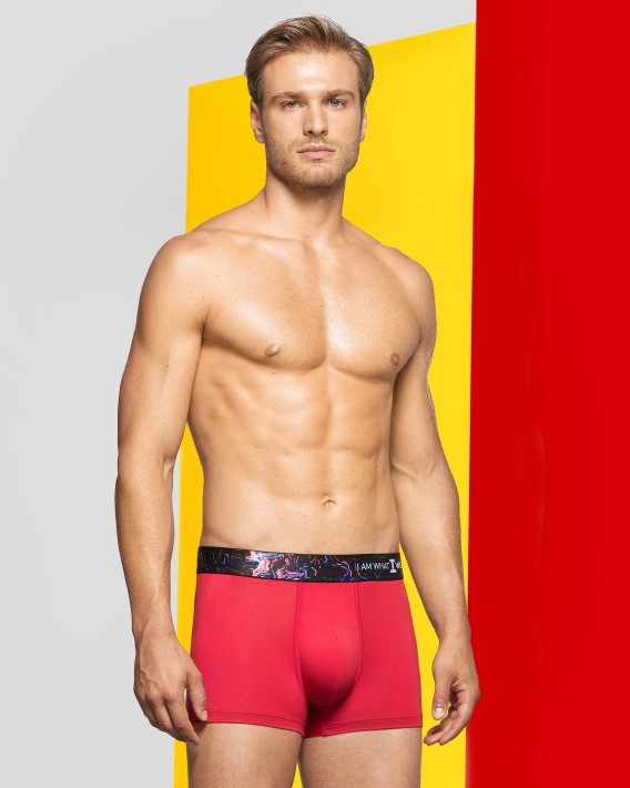 Boxer I Am Dynamic