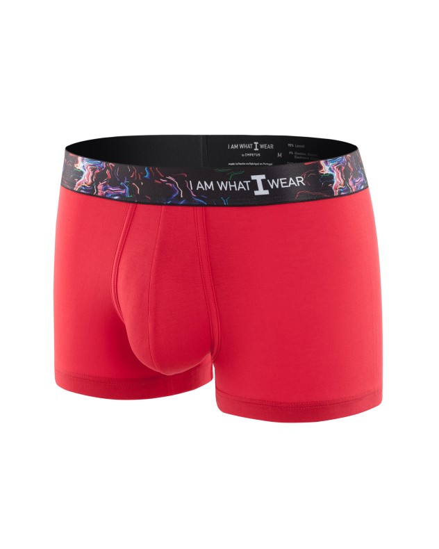 Boxer I Am Dynamic