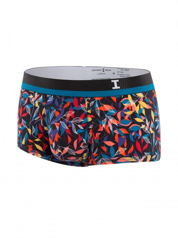 Boxer I Am Open Minded