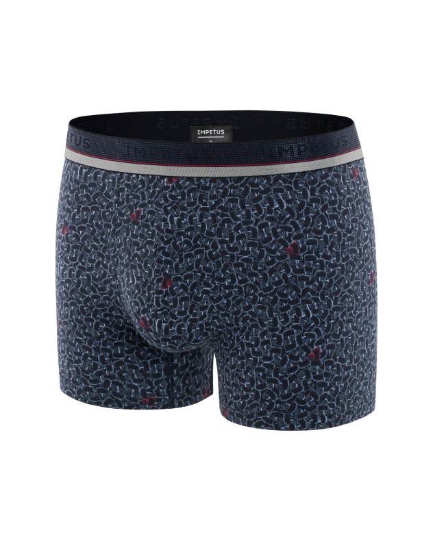 Boxer Hearts Print - G96