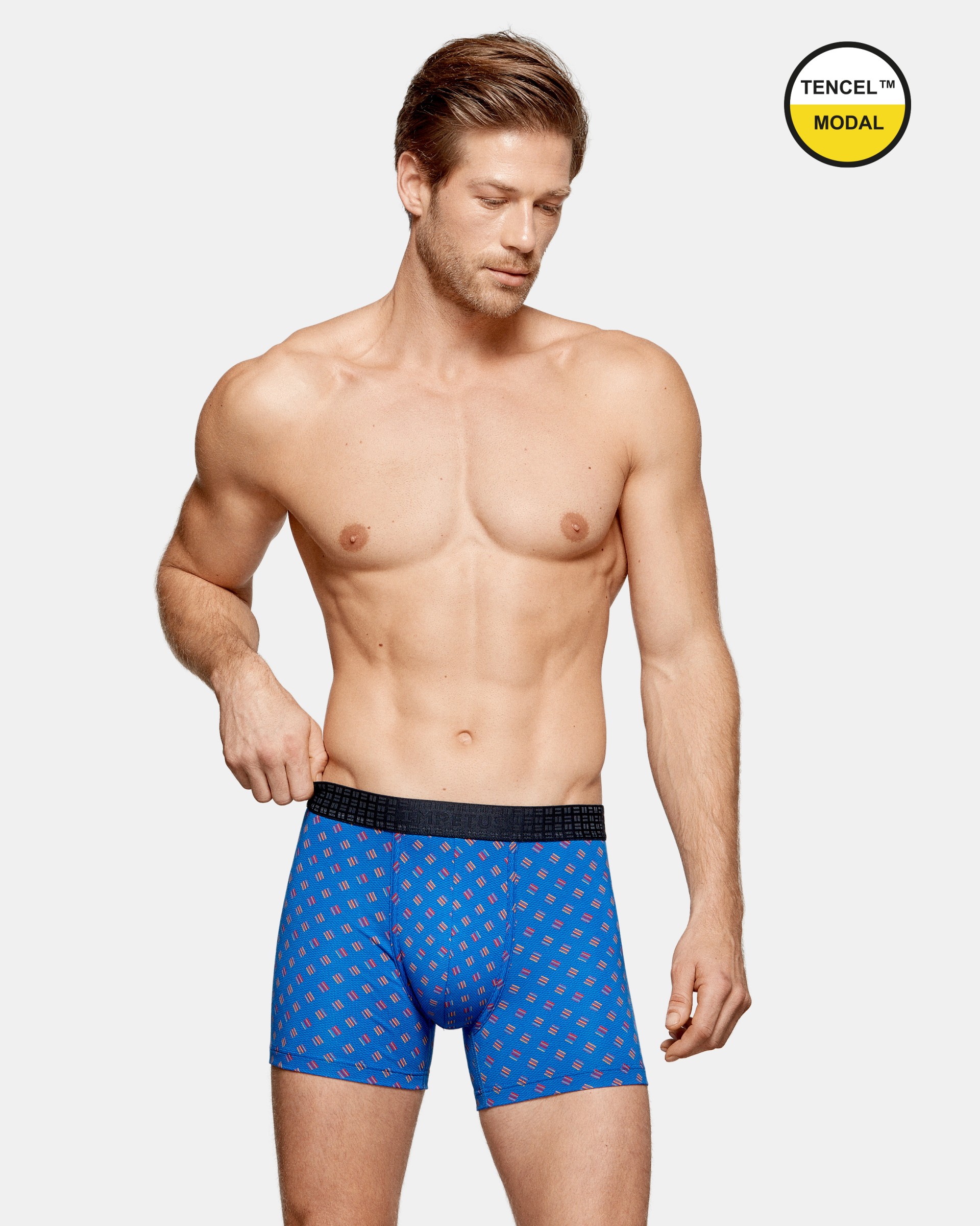 Boxer Graphic Print - G94