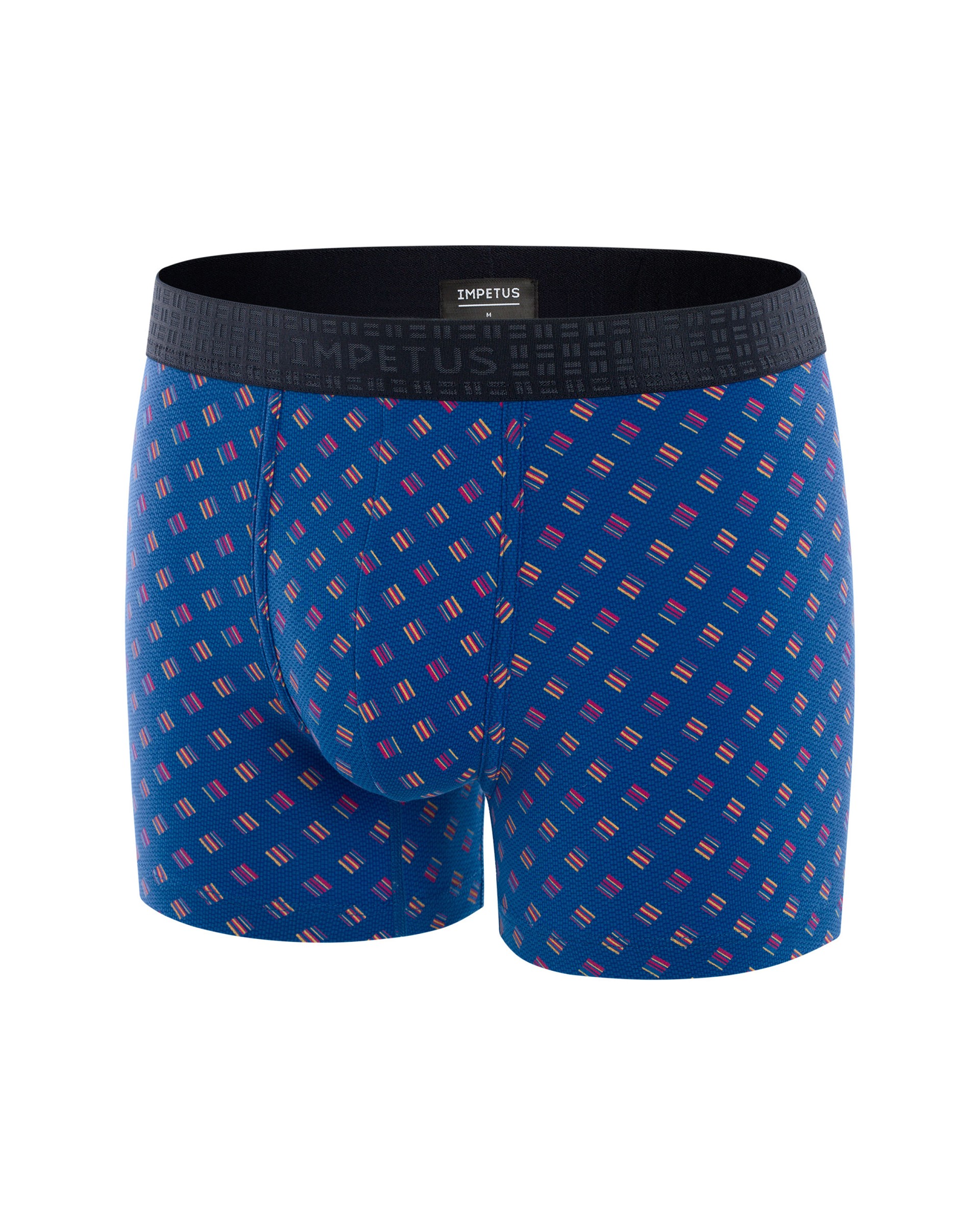 Boxer Graphic Print - G94