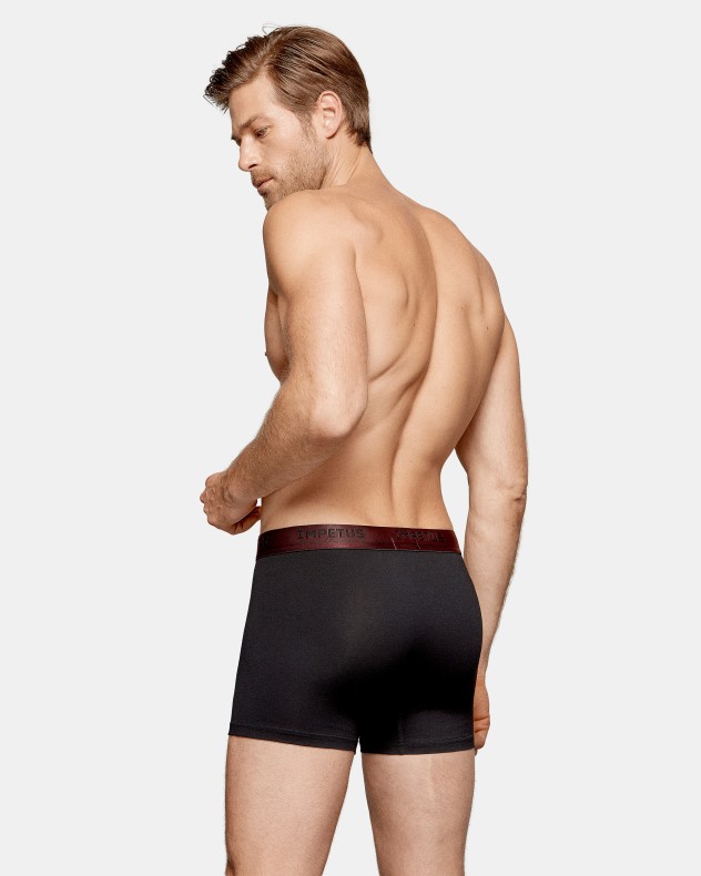 Pack of 2 men's boxers Cotton Stretch