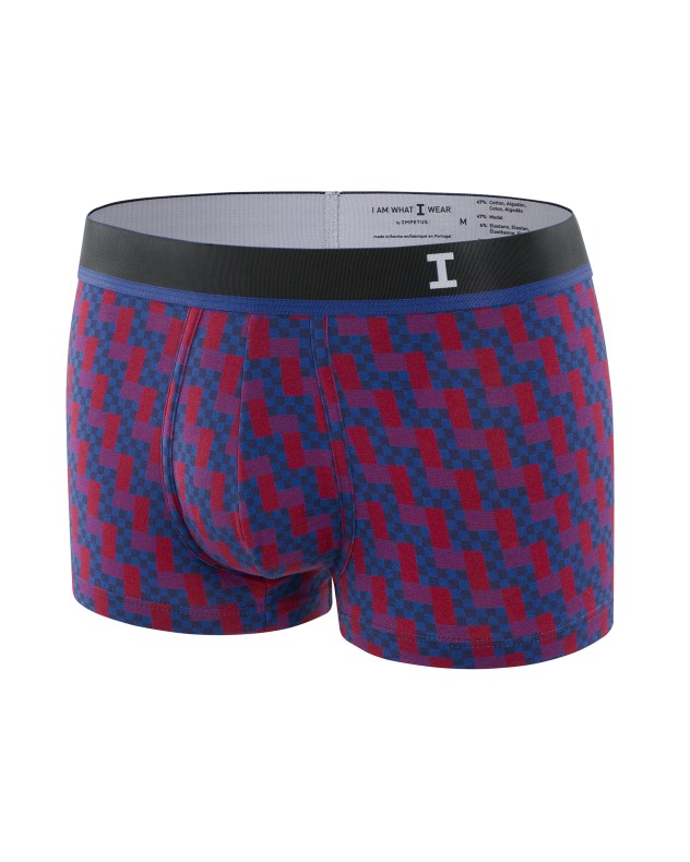 Boxer I Am Homy