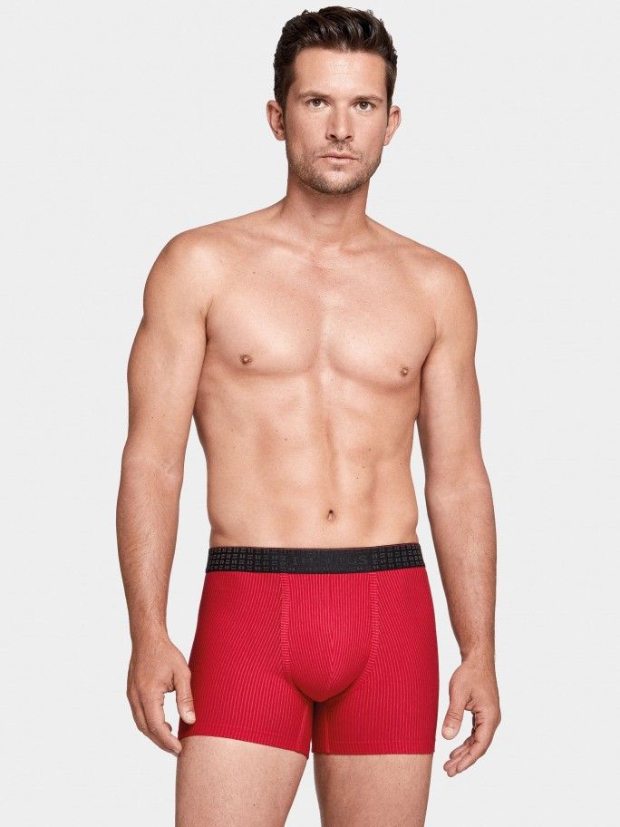 Boxer riscas Betam