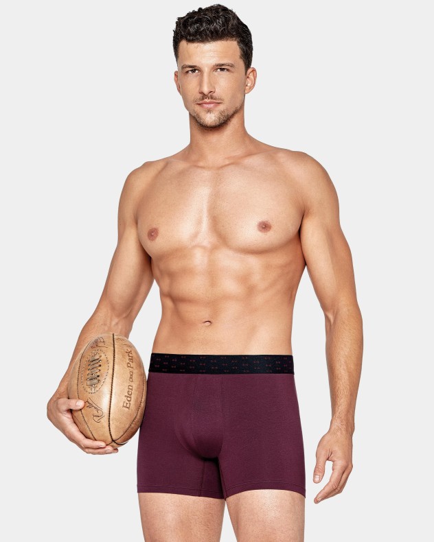 Pack 2 Boxers Eden Park