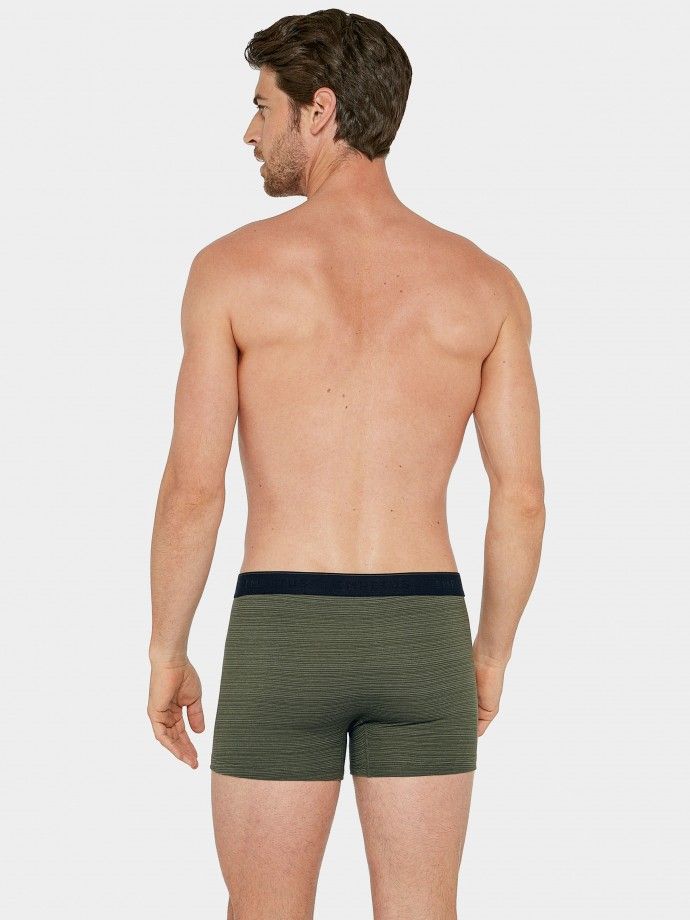 Boxer riscas Louet