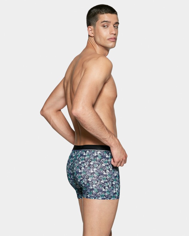 Boxer I Am Native