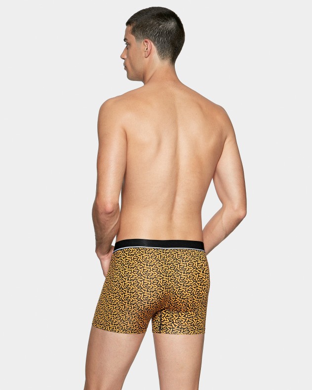 Boxer I Am Daze