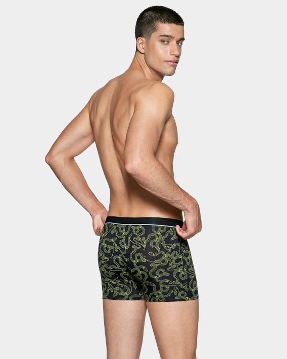 Boxer I Am Mover