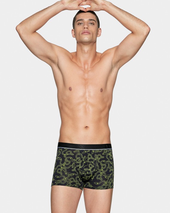 Boxer I Am Mover