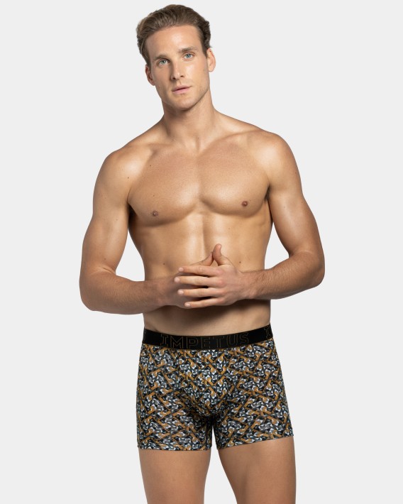 Boxer Venise