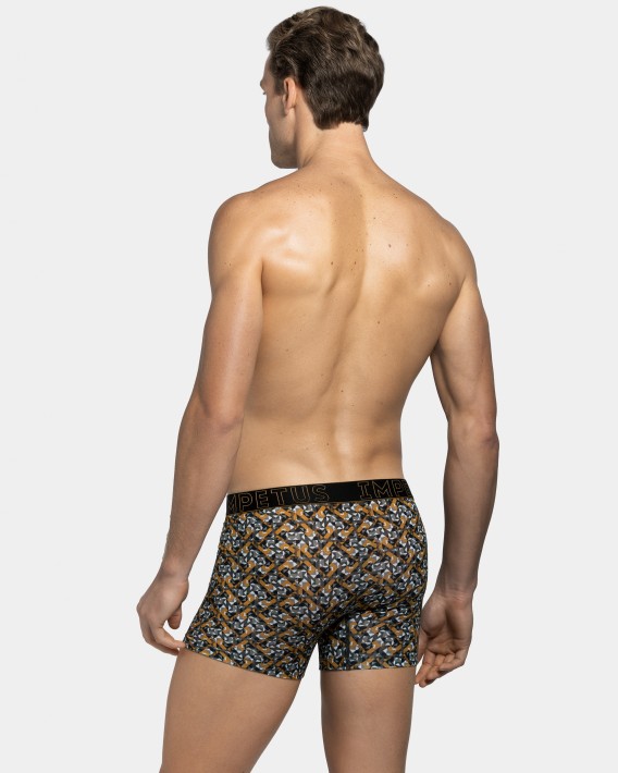 Boxer Venise