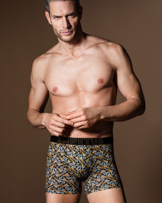Boxer Venise
