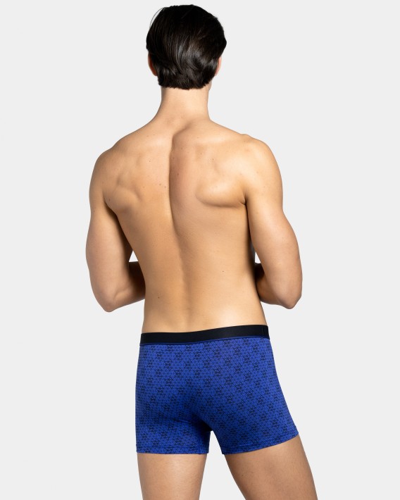 Boxer I Am Ammil