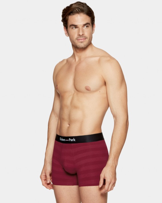 Boxer  rayures Eden Park