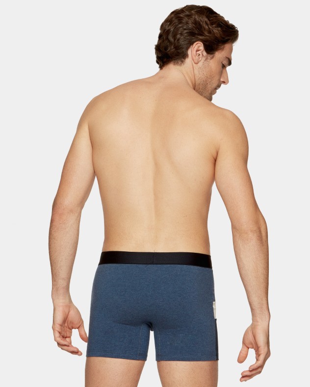 Boxer Colorblock Eden Park