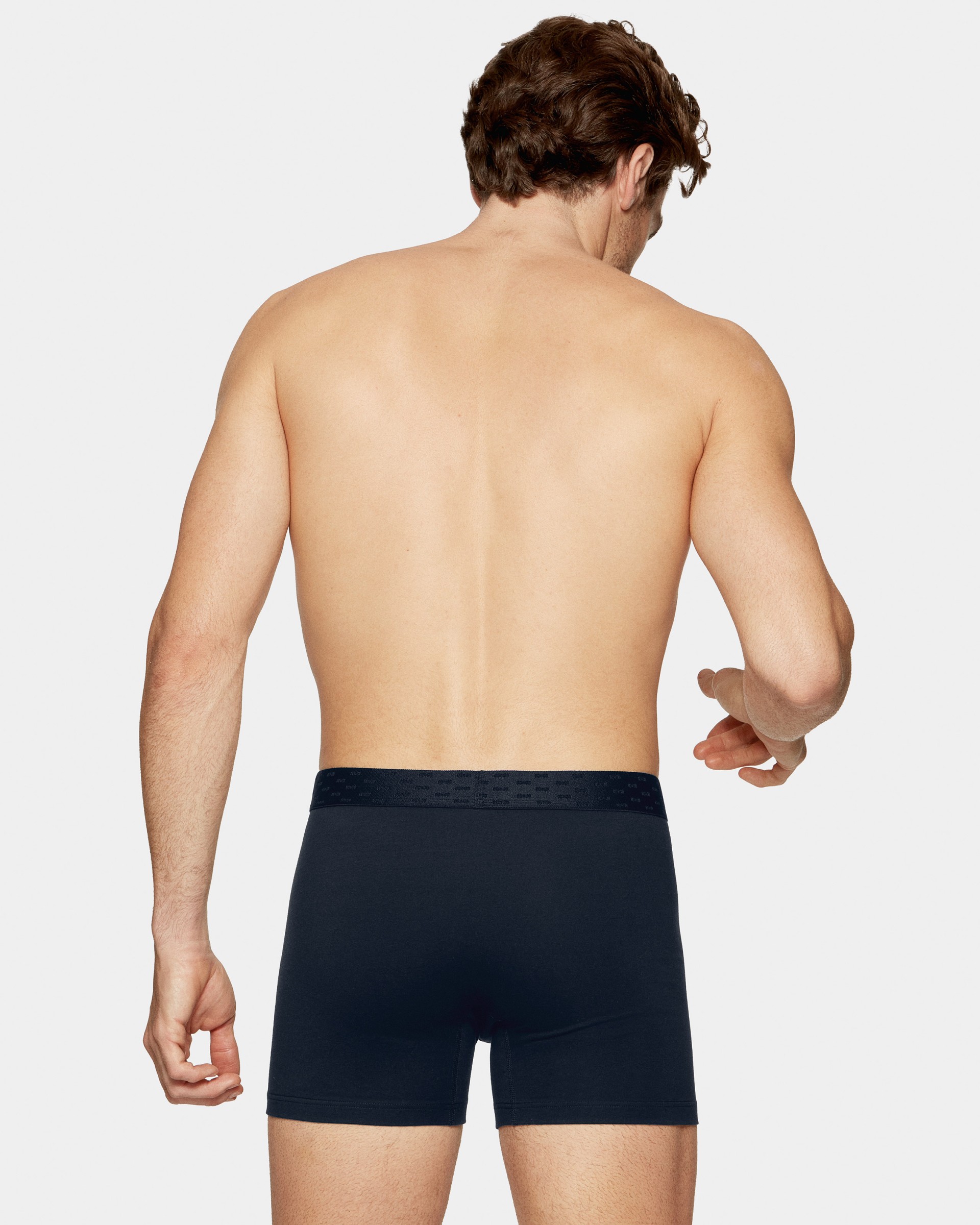 Boxer logo Eden Park