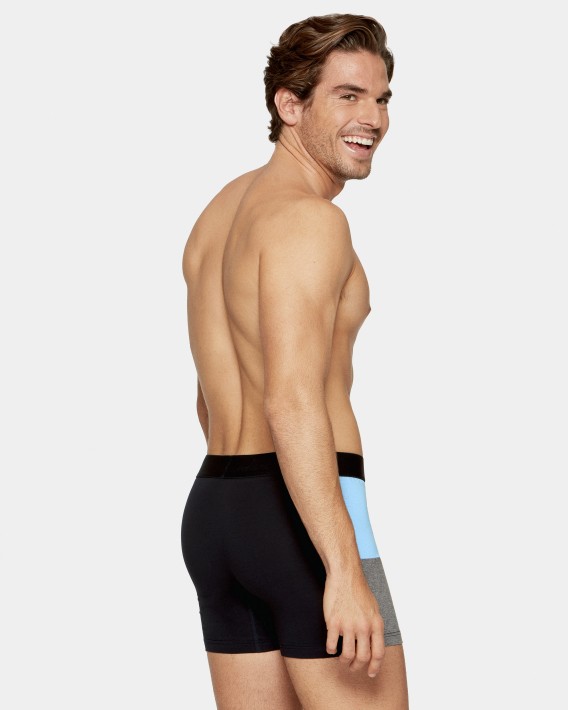 Boxer Colorblock Eden Park