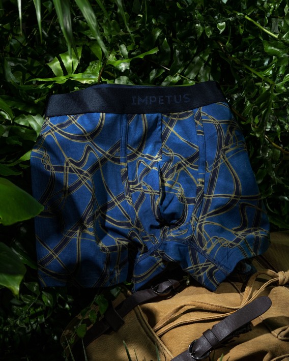 Boxer imprim tropical