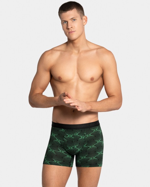Boxer I Am Euphoric