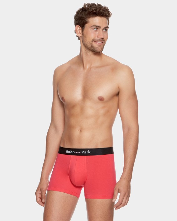 Boxer liso Eden Park