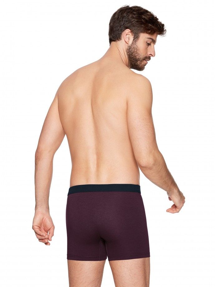 Boxer de homem liso em Lyocell