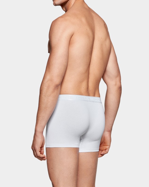 Men's boxer Cotton Modal