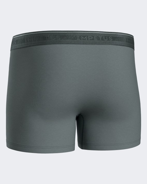 Pack 3 Boxers d'homme Bio Cotton