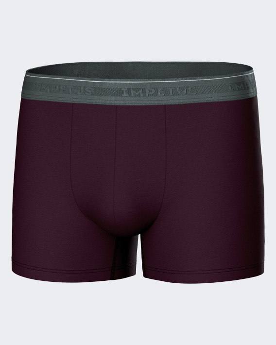 Pack 3 Boxers d'homme Bio Cotton