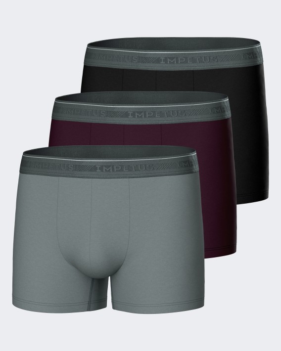 Pack 3 Boxers d'homme Bio Cotton