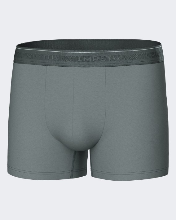 Pack 3 Boxers d'homme Bio Cotton