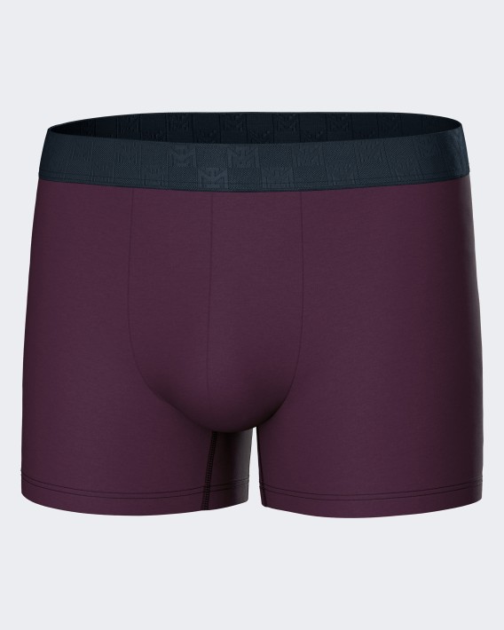Pack 3 Boxers d'homme Bio Cotton